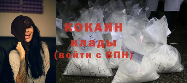 сатива Карпинск