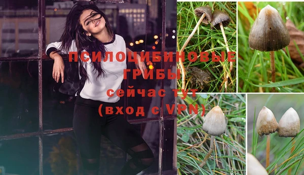 ECSTASY Касимов