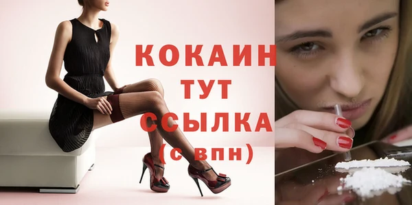 сатива Карпинск