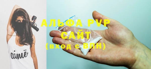 шишки Шарыпово