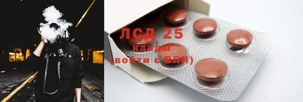 сатива Карпинск