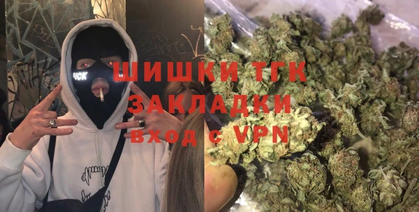 сатива Карпинск