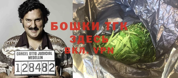 сатива Карпинск