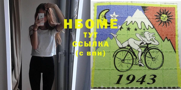 сатива Карпинск