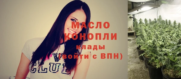 сатива Карпинск